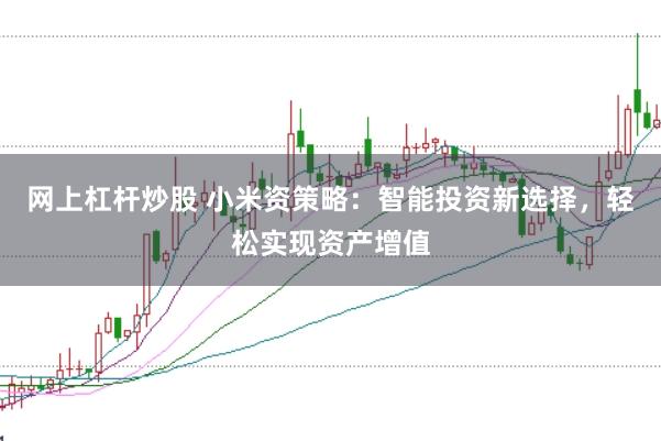 网上杠杆炒股 小米资策略：智能投资新选择，轻松实现资产增值