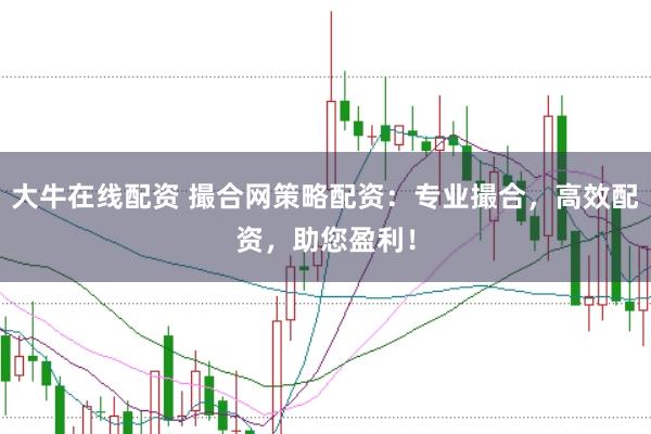 大牛在线配资 撮合网策略配资：专业撮合，高效配资，助您盈利！