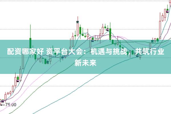 配资哪家好 资平台大会：机遇与挑战，共筑行业新未来
