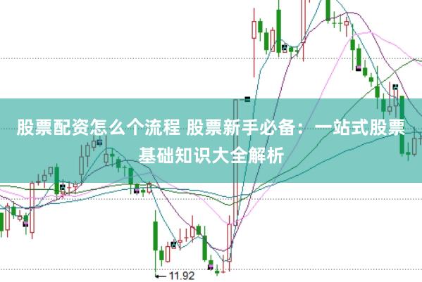 股票配资怎么个流程 股票新手必备：一站式股票基础知识大全解析