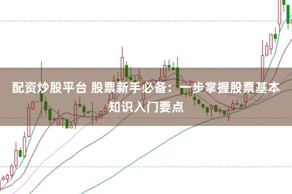 配资炒股平台 股票新手必备：一步掌握股票基本知识入门要点