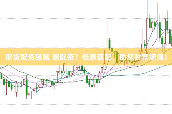 期货配资猫腻 想配资？低息速配，助您财富增值！