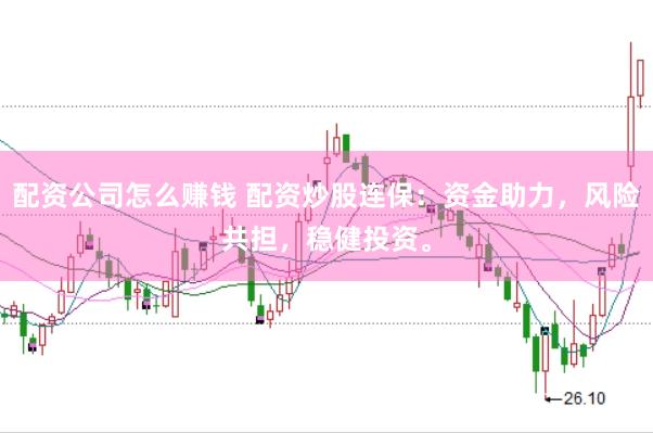 配资公司怎么赚钱 配资炒股连保：资金助力，风险共担，稳健投资。