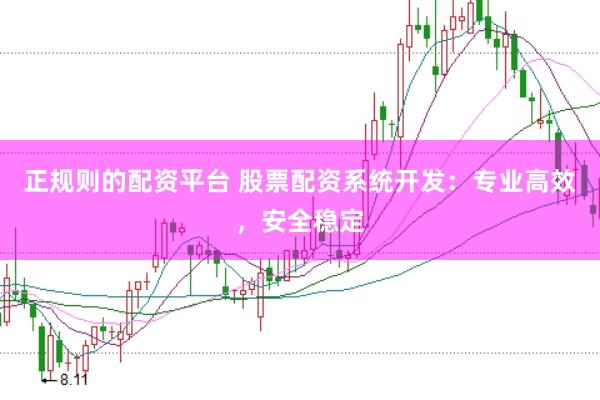 正规则的配资平台 股票配资系统开发：专业高效，安全稳定