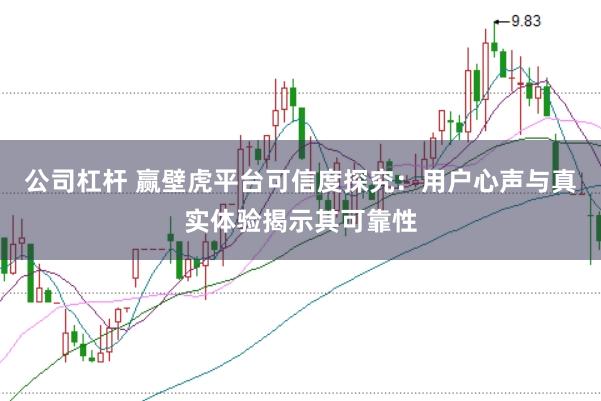 公司杠杆 赢壁虎平台可信度探究：用户心声与真实体验揭示其可靠性