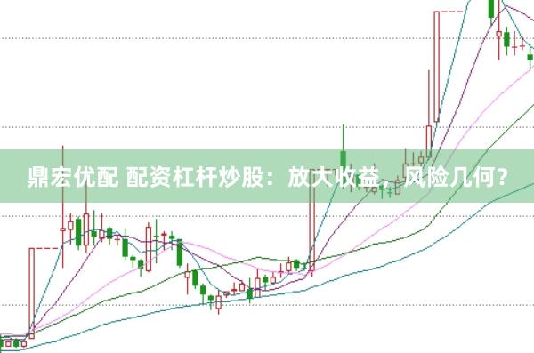 鼎宏优配 配资杠杆炒股：放大收益，风险几何？