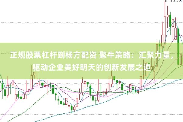 正规股票杠杆到杨方配资 聚牛策略：汇聚力量，驱动企业美好明天的创新发展之道