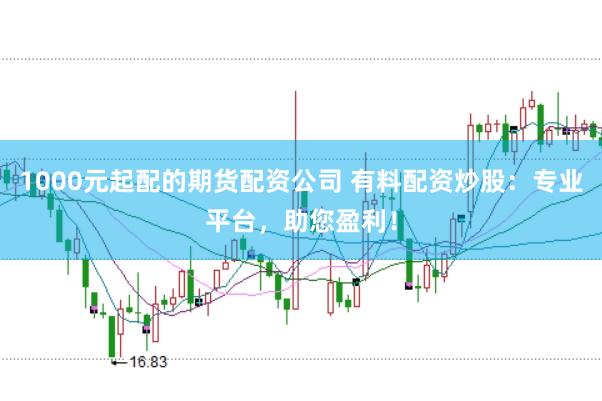 1000元起配的期货配资公司 有料配资炒股：专业平台，助您盈利！