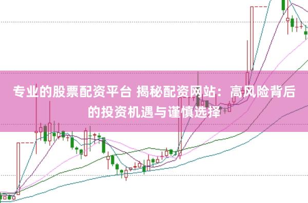 专业的股票配资平台 揭秘配资网站：高风险背后的投资机遇与谨慎选择