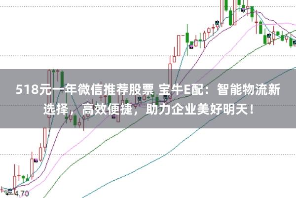 518元一年微信推荐股票 宝牛E配:智能物流新选择,高效便捷,助力企业美好明天!